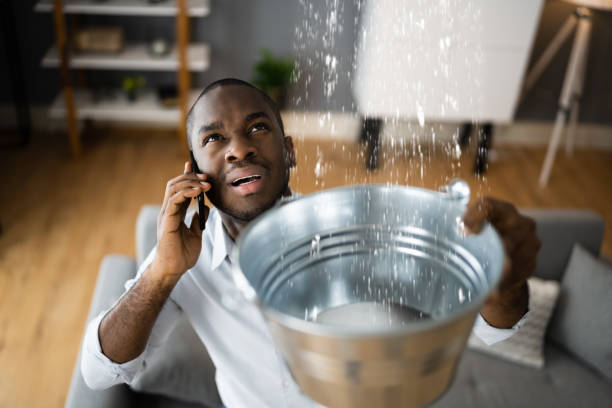 Best Water damage restoration near me  in Archie, MO