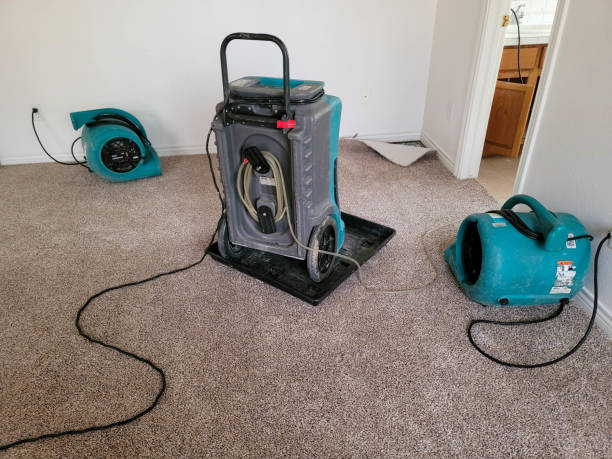 Best Water damage restoration near me  in Archie, MO
