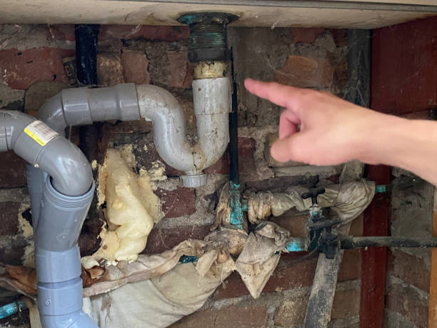 Best Water damage contractors near me  in Archie, MO